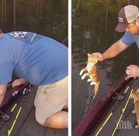 Две момчета отиват за риба, но вместо риба улавят две котета...