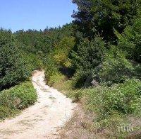 Пожарникари и полицаи спасиха пострадал в местност до Златоград, носиха го  близо 5 км. на носилка