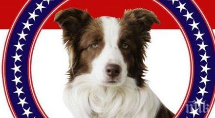 куче кмет конкуренция хилари тръмп поста обама