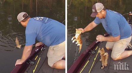 две момчета отиват риба вместо риба улавят две котета