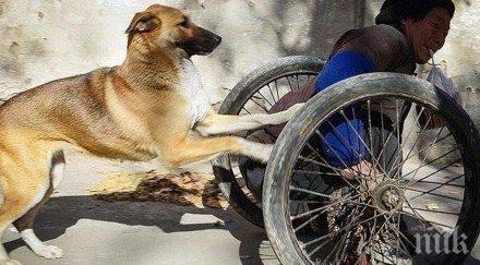 куче бута мъж инвалидна количка разбрах историята сълзите потекоха