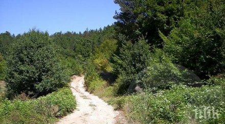 пожарникари полицаи спасиха пострадал местност златоград носиха близо носилка