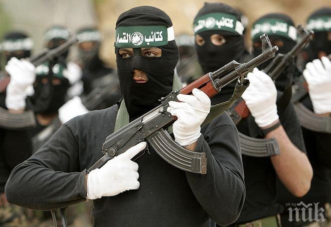 Дейвид Петреъс: САЩ да използват умерените членове  от Ал Каида срещу халифата