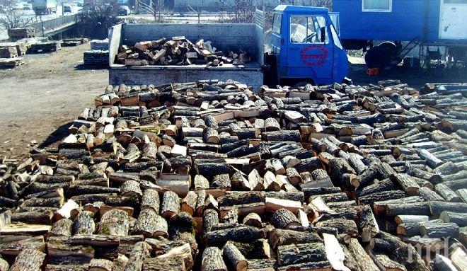 Хванаха четирима с незаконно добити дърва в Пазарджишко
