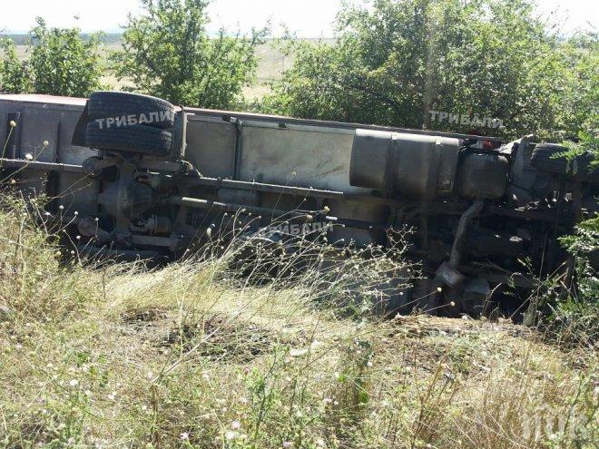 Ужас на пътя! Камион, превозващ 20 тона слънчоглед, премаза шофьора си
