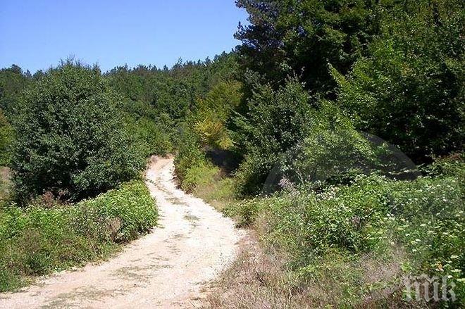 Пожарникари и полицаи спасиха пострадал в местност до Златоград, носиха го  близо 5 км. на носилка