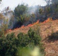 Нов пожар горя край село Фролош