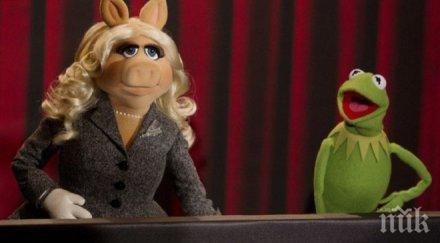 мис пиги кърмит отдадоха романси