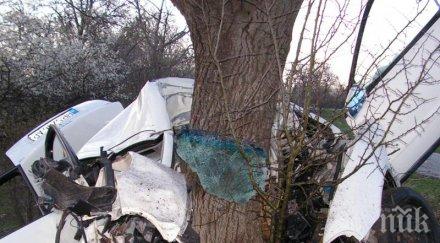 отново кръв пътя младеж заби дърво пътя силистра русе