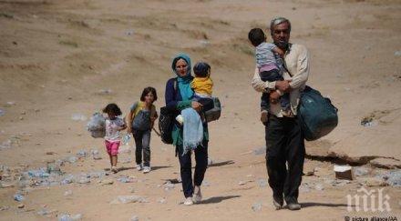 франция ограда бежанците