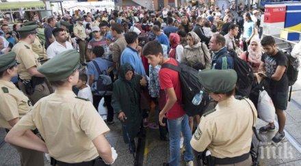 бежанската вълна превърна виена катун обновена снимки видео