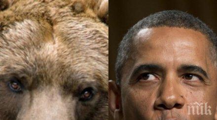 обама направи селфи мечка снимка