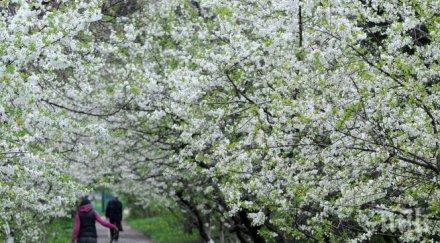 добър летен сезон отчитат хотелиерите ресторантьорите смолянско