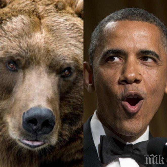 Обама си направи селфи с мечка (снимка)