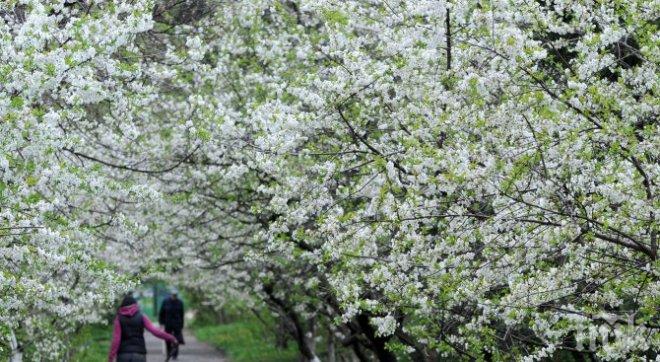 Много добър летен сезон отчитат хотелиерите и ресторантьорите в Смолянско