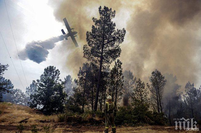 Пожар в местността Папаз чаир” край Гоце Делчев
