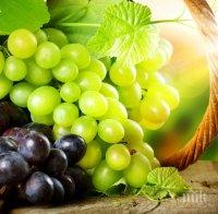 семките гроздето подмладяват