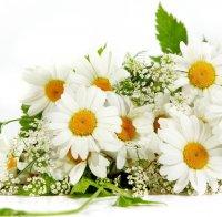 Бани с отвара от лайка и невен за розови пети

 

 