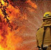 Извънредно! Двама пожарникари пострадаха при гасене на стихия край Правец!  Единият от огнеборците бере душа! (обновена)