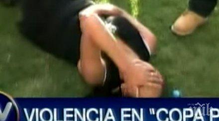 фенове пребиха зверски журналистка футболистите спасяват видео