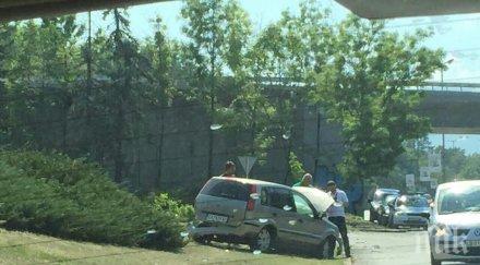 извънредно пик камикадзе заби бясна скорост емблемата софия