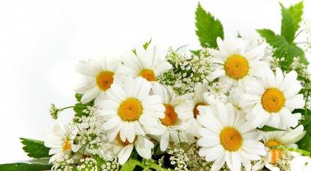 бани отвара лайка невен розови пети