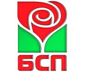 бсп стяга редиците изборите