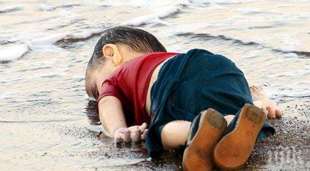 снимка обиколи интернет появиха накарат