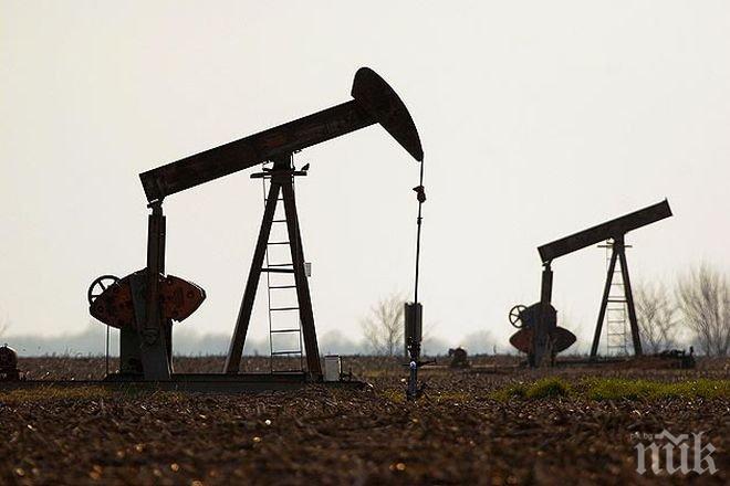 Саудитска Арабия ще свали цените на петрола за САЩ и Западна Европа