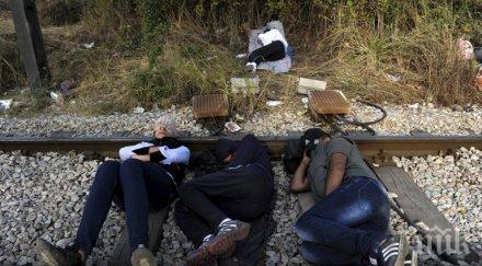 унгария допуска влакове бежанци сърбия