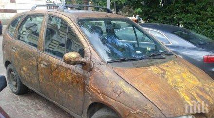 пик невероятна атракция центъра софия древногръцки богове обикалят града хората смаяни снимки