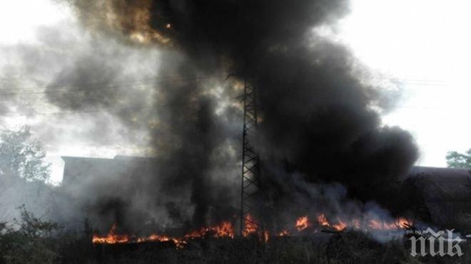 Овладян е пожарът в Благоевград. Изгорели са около 15-20 дка сухи треви и гуми (снимки)