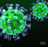 Вирус поваля деца и младежи в Сапарева баня