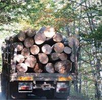 Роми бракониери нападнаха горски! Изхвърлиха гo от конфискувана с крадени дърва уазка
