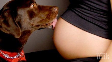 кучета нетърпение очакваха новото попълнение семейството