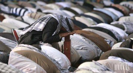 кюрдската работническа партия твърди ликвидирала турски войници