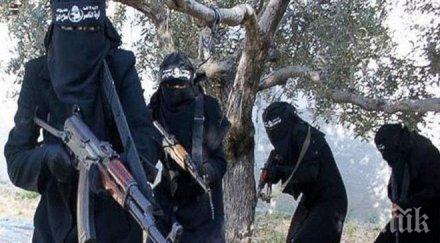 франция подготвя въздушни нападения сирия