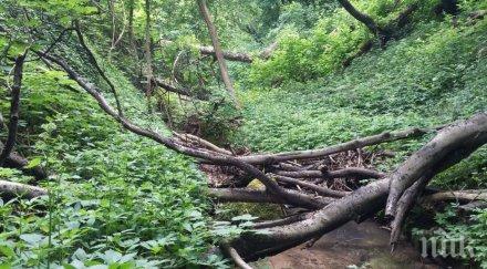 фандъкова прости необразовани