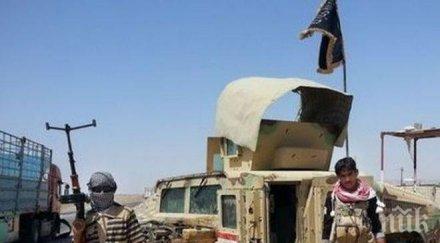 германското разузнаване доказателства употребата иприт ислямска държава кюрдите северен ирак