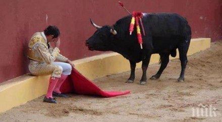 снимката разчувства целия свят посланието носеше