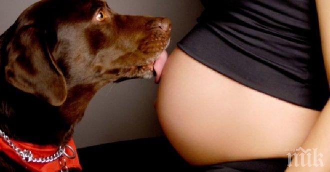 Тези кучета с нетърпение очакваха новото попълнение в семейството