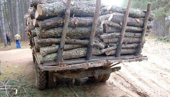 Наглост! Цигани изхвърлиха служители на горското от задържан автомобил с незаконна дървесина 