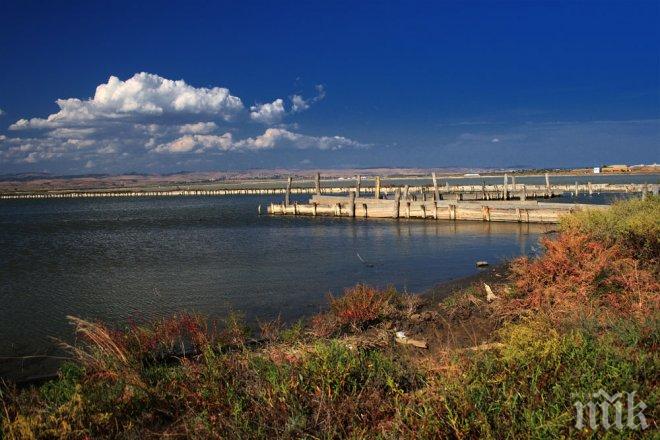 Изложбата „Симбиотично” представя Атанасовското езеро по необикновен начин