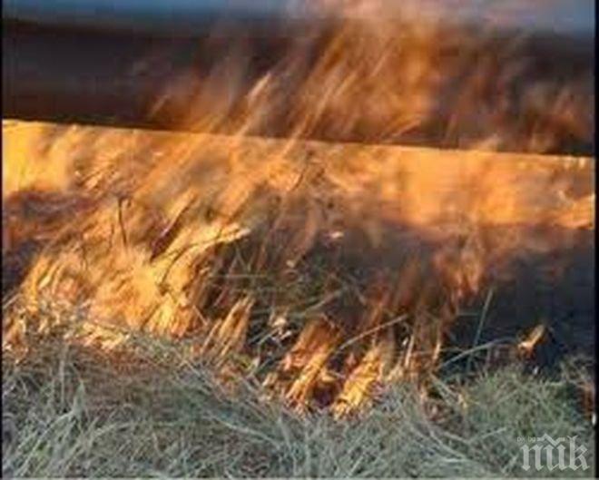 Пожар унищожи 60 декара овощна градина и лозов масив