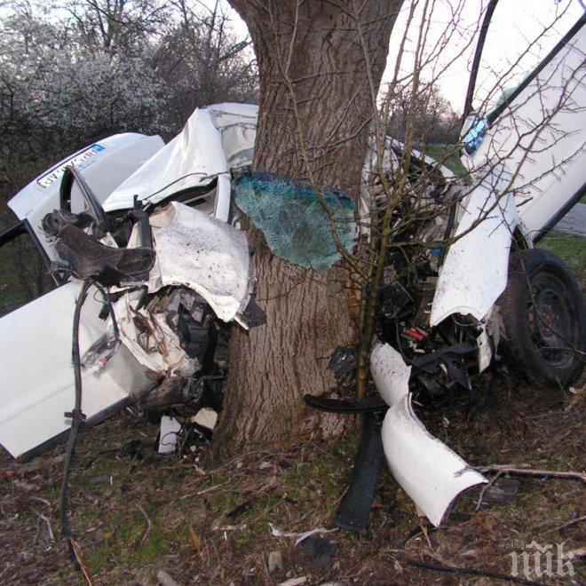 Такси излетя от пътя и се подпря на дърво