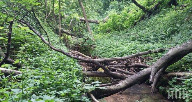 Г-жо Фандъкова, кои са прости и необразовани?