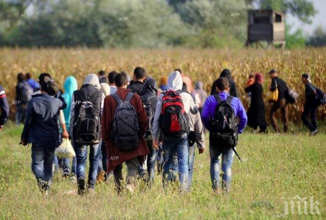 Заедно с бежанците в ЕС идва Халифата