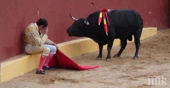 Снимката, която разчувства целия свят с посланието, което носеше...