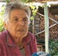 Крадци разбиха стена в Плевенско, за да откраднат две пенсии