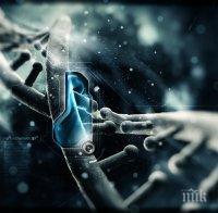 Лепкава ДНК може да е ключът към създаване на органи в лаборатория